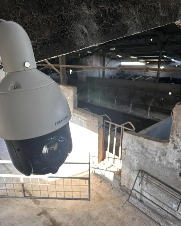 PTZ calving camera installed in a cattle shed by McCrohan Satellite Systems